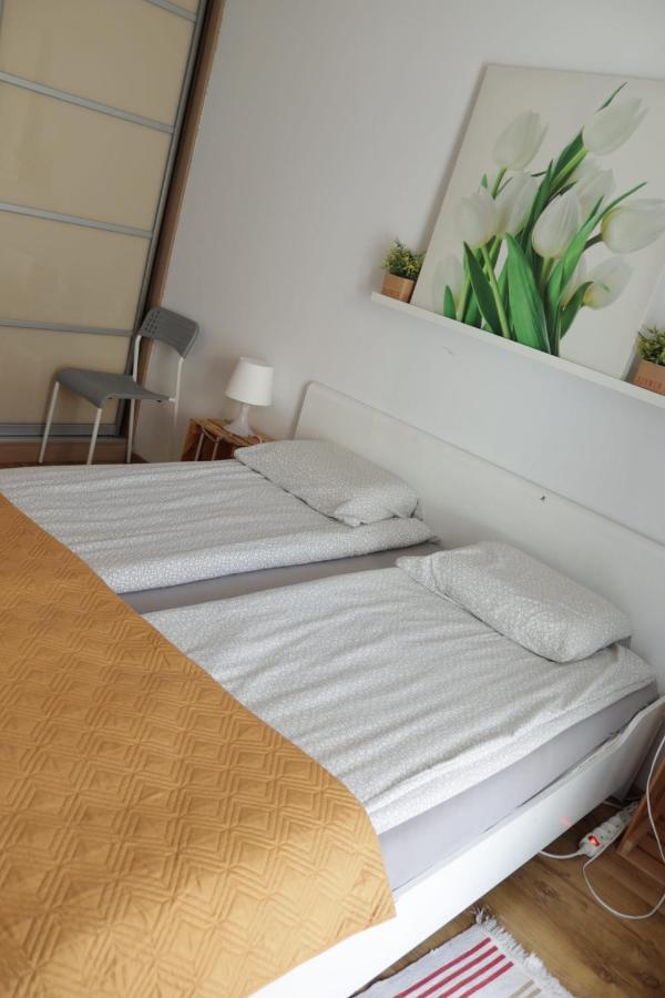 Apartament סווראוץ' מראה חיצוני תמונה